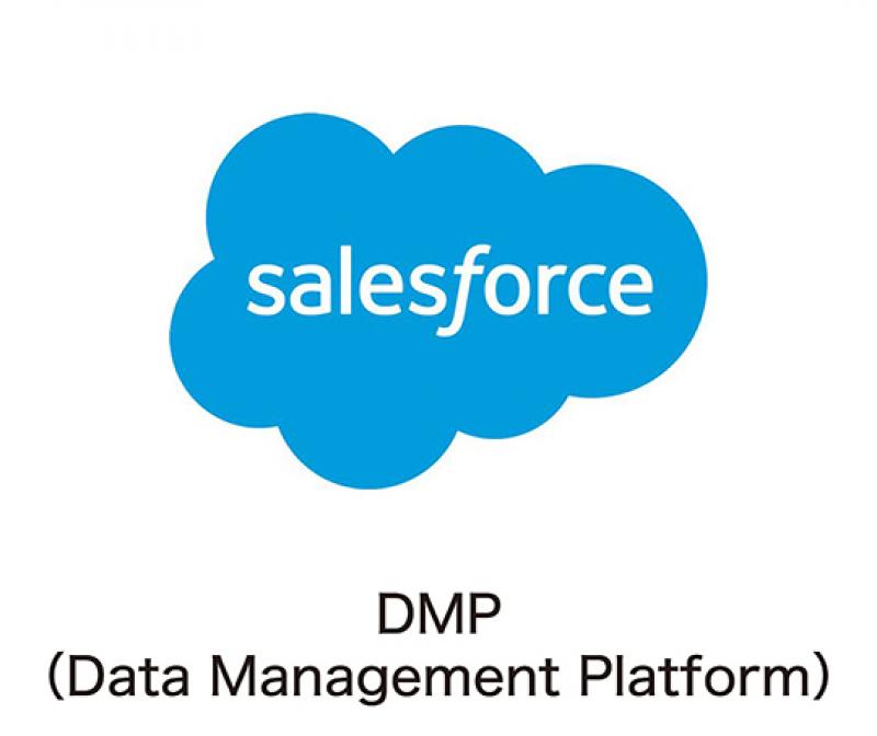 DMP (Data Management Platform)　