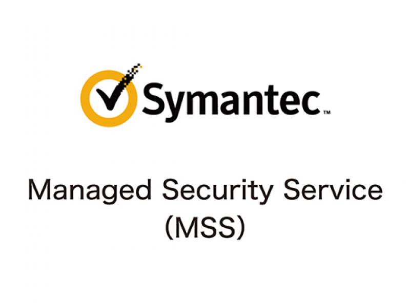 Managed Security Service(MSS)