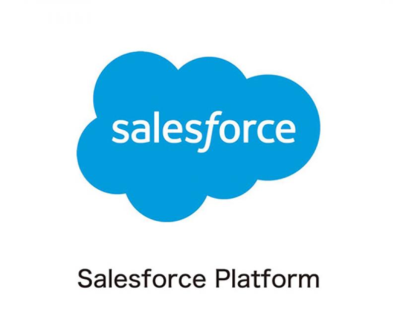 Salesforce Platform