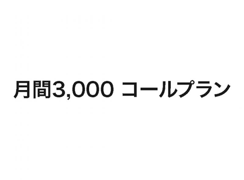 月間3,000 コールプラン