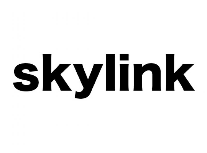 skylink