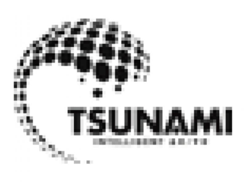 TSUNAMI WORKSPACES