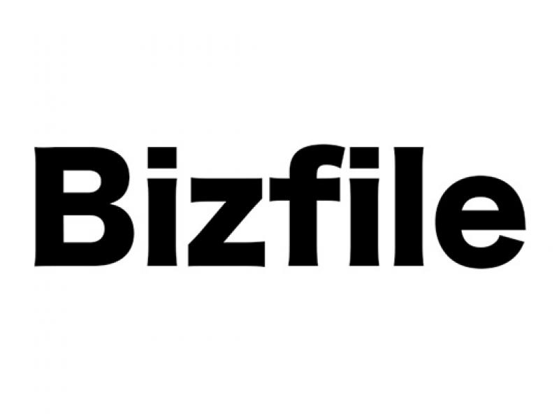 Bizfile