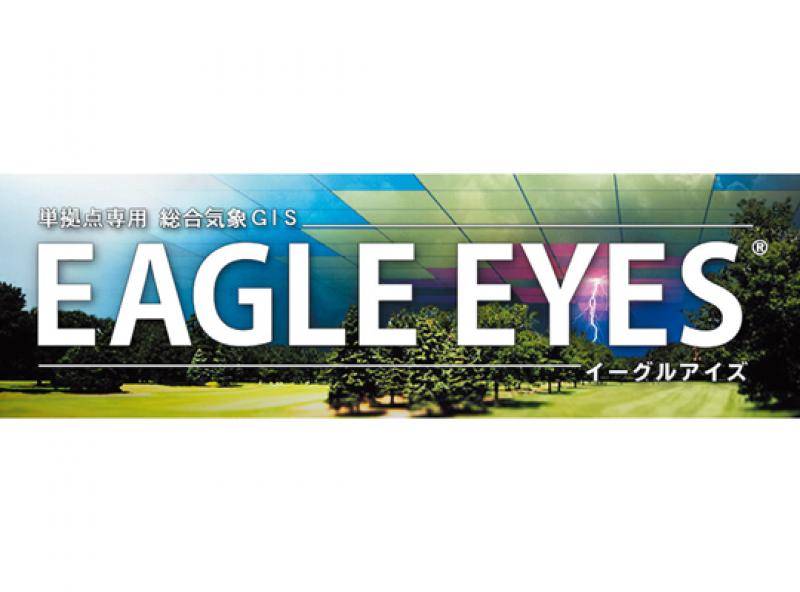 EAGLE EYES®